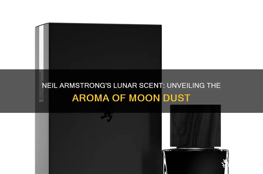how did neil armstrong describe the scent of moon dust