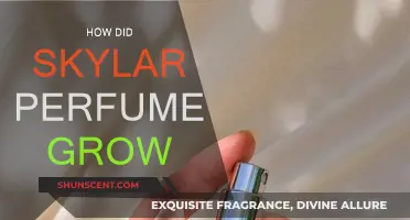 Skylar Perfumes: Scaling Scents to Success
