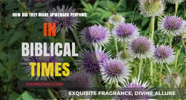 Creating Spikenard Perfume in Biblical Times