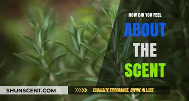 Aromatic Impressions: Reflecting on the Scent's Emotional and Sensory Impact