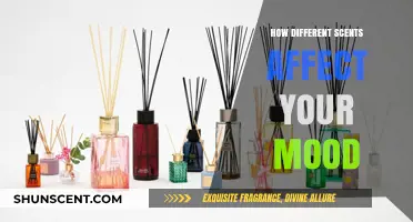 Aromatherapy Insights: How Scents Influence Mood and Well-Being