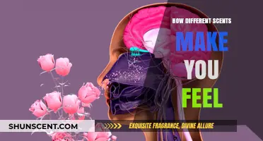 The Power of Scents: How Aromas Influence Your Mood and Emotions