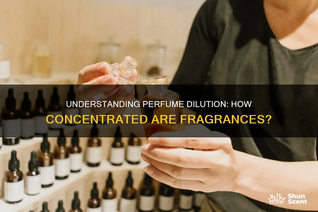 how dilute are perfumes