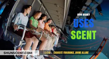 Disney's Magic: How Scent Enhances the Theme Park Experience