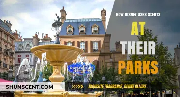 Disney's Magical Scents: How Aromas Enhance Park Experiences