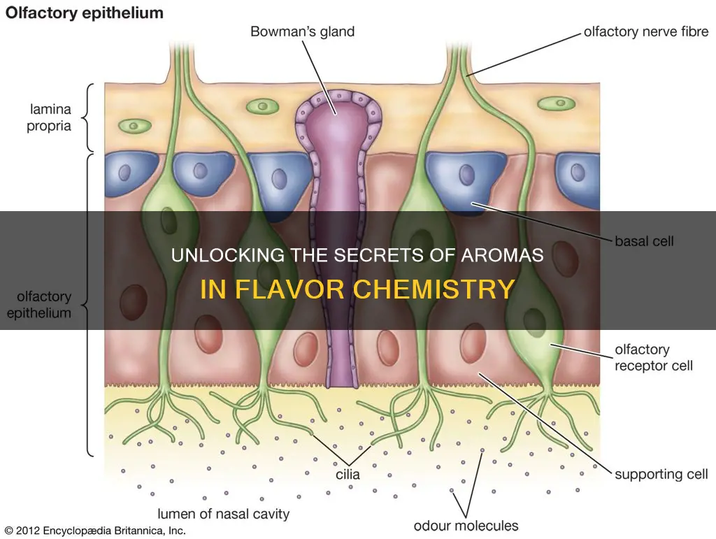 how do aromas contribute to flavor