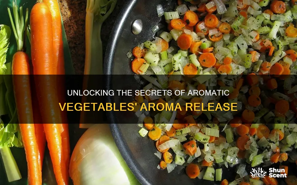 how do aromatic vegetables release their aroma