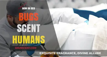 How Bed Bugs Detect Human Scent: Uncovering Their Stealthy Tactics