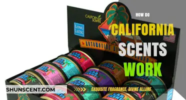 Understanding California Scents: How These Air Fresheners Work and Last