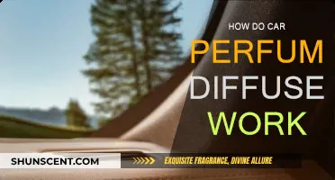 Car Perfume Diffusers: How Do They Work?