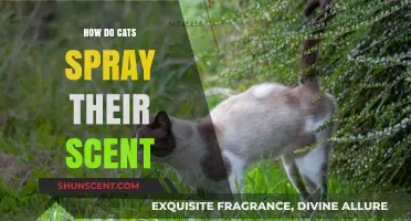 Understanding How Cats Mark Territory Through Scent Spraying Behavior