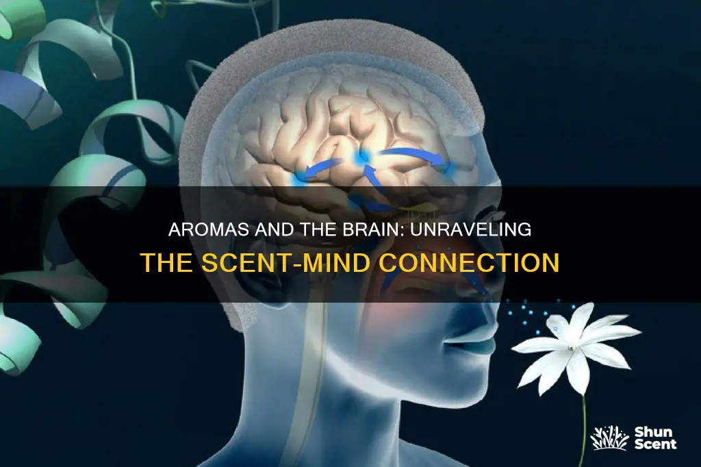 how do certain aromas effect the brain