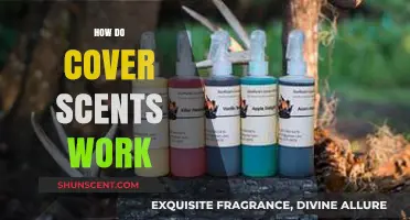 Unveiling the Science: How Cover Scents Mask Odors Effectively