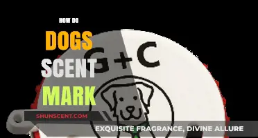 Understanding Canine Scent Marking: Why and How Dogs Leave Their Scent