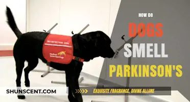 Canine Noses Know: Detecting Parkinson's Disease in Humans