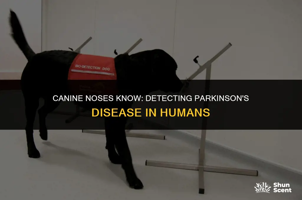 how do dogs smell parkinson