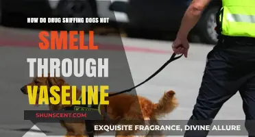 Unveiling the Myth: Can Drug Sniffing Dogs Really Not Smell Through Vaseline?
