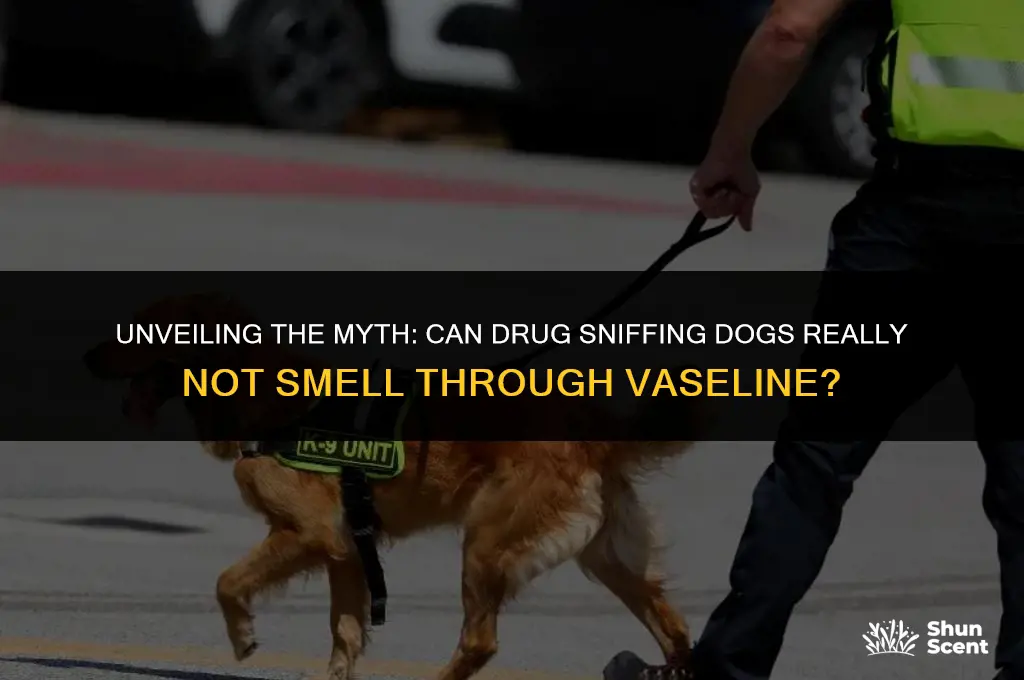 how do drug sniffing dogs not smell through vaseline