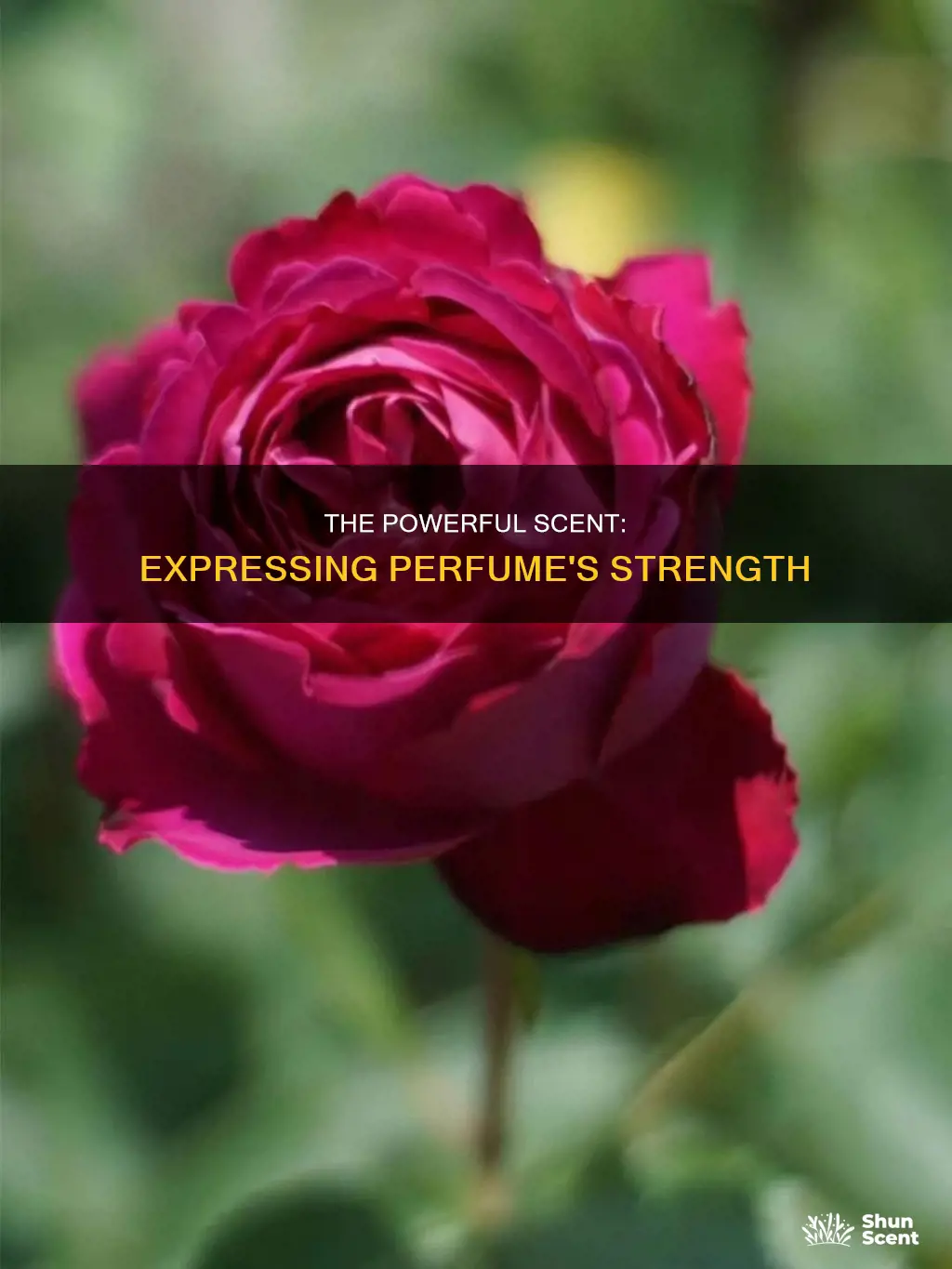 how do express the perfume too powerful