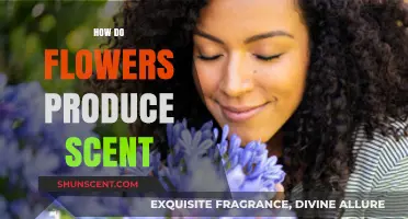 The Science Behind Floral Fragrance: How Flowers Create Their Scents