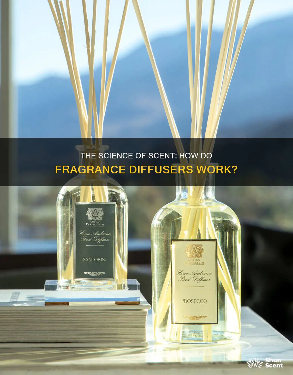 how do fragrance diffusers work