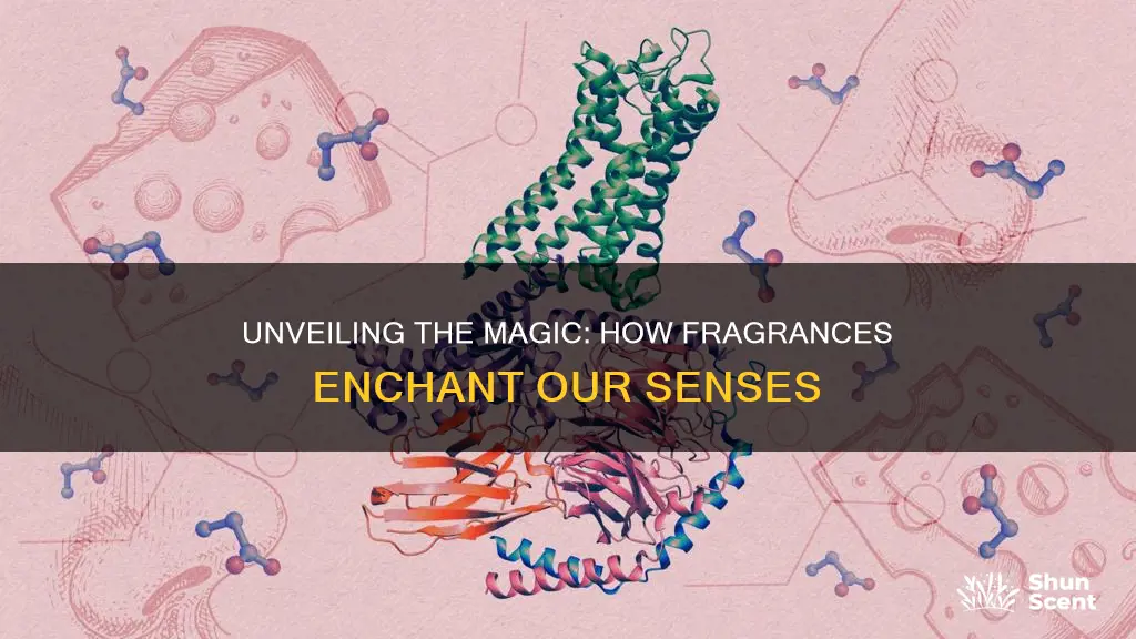 how do fragrances work