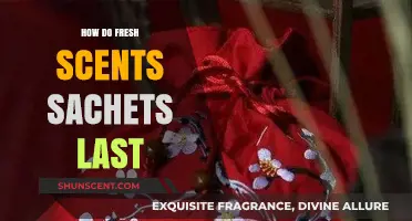 Maximizing Freshness: How Long Do Scent Sachets Truly Last?