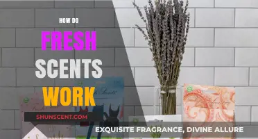 Unveiling the Science Behind Fresh Scents: How They Work and Why We Love Them