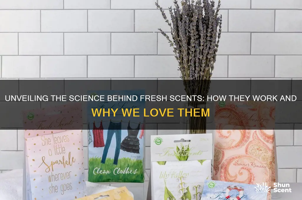 how do fresh scents work