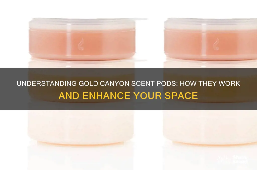 how do gold canyon scent pods work
