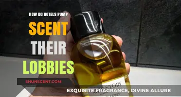How Hotels Use Scent Marketing to Enhance Guest Experience in Lobbies