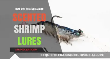 Attaching Z-Man Scented Shrimp Lures: A Step-by-Step Guide for Anglers