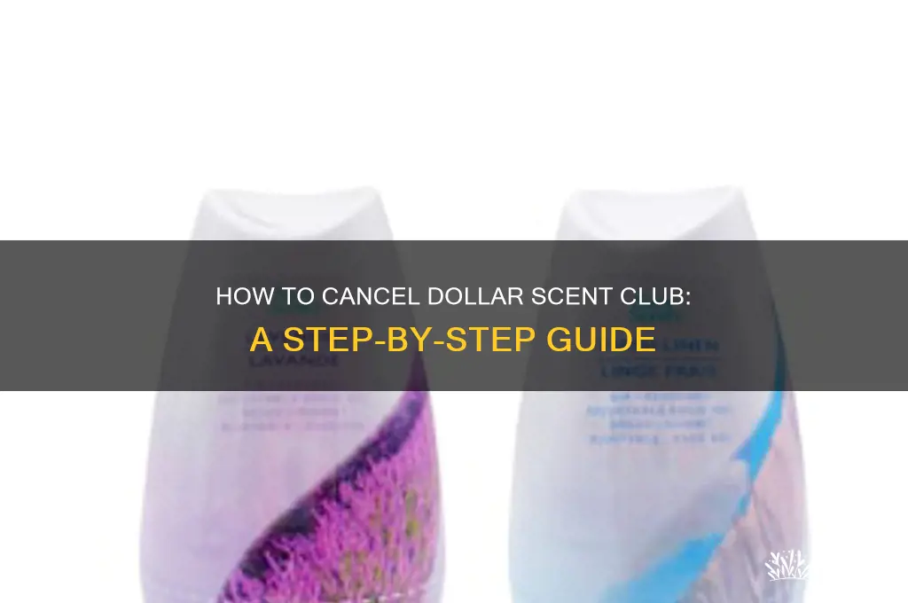how do i cancel dollar scent club