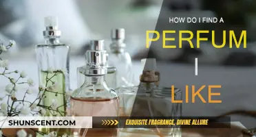 Finding Your Signature Scent: A Guide to Perfumes