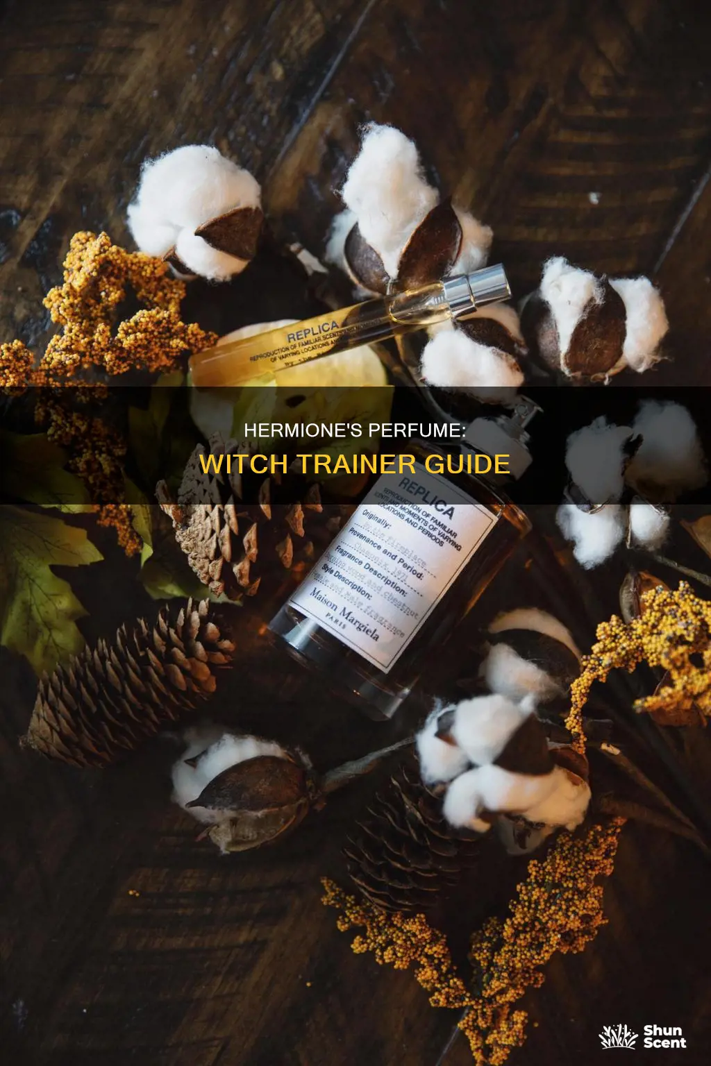 how do i give hermoine the perfume witch trainer