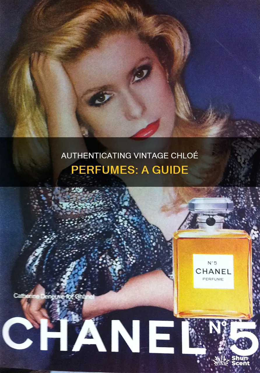 how do i know if my chloe perfume is vintage