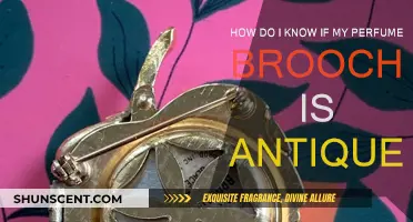 Authenticating Antique Perfume Brooches: A Guide