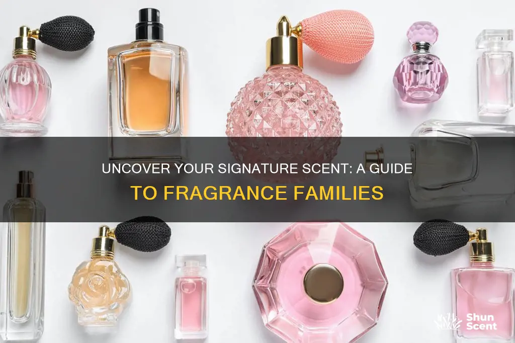 how do i know what my favorite fragrance family is