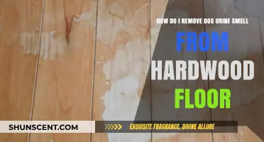 Eliminate Dog Urine Odor from Hardwood Floors: A Comprehensive Guide