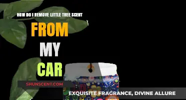 Effective Ways to Eliminate Lingering Little Tree Scent from Your Car