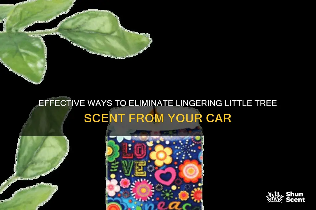 how do i remove little tree scent from my car