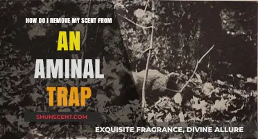 Effective Tips to Eliminate Human Scent from Animal Traps