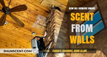 Effective Ways to Eliminate Stubborn Smoke Odor from Your Walls