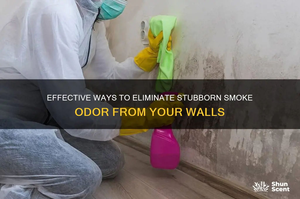 how do i remove smoke scent from walls