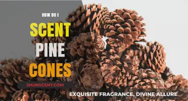 Scenting Pine Cones: Easy DIY Methods for Fragrant Home Decor