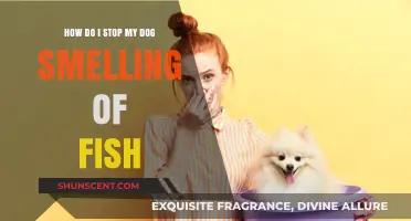 Freshen Up Your Pup: Say Goodbye to Fishy Odors!