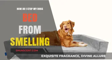 Freshen Up Your Pup's Resting Spot: A Guide to Odor-Free Dog Beds