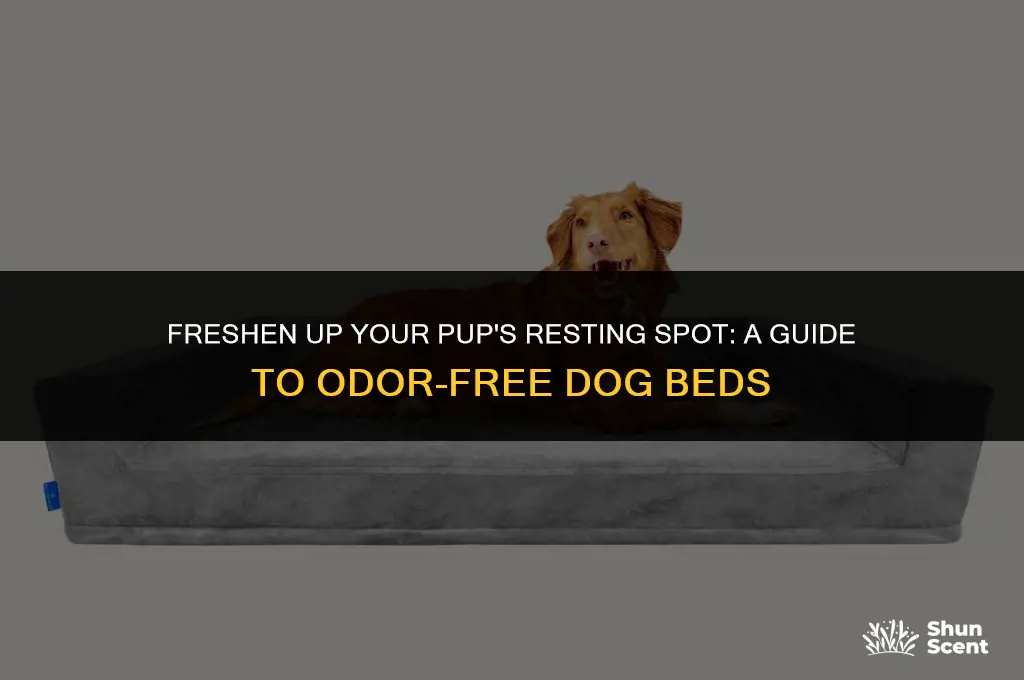 how do i stop my dogs bed from smelling