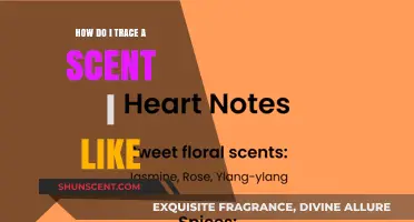 Tracing Scents: How to Identify and Find Your Favorite Fragrance