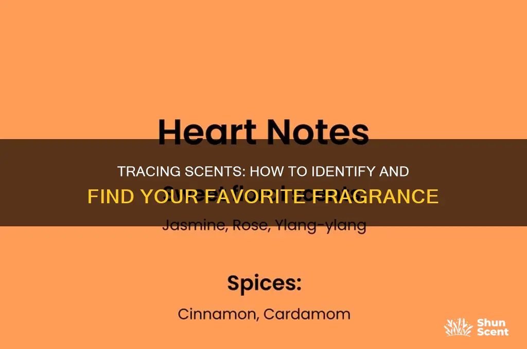 how do i trace a scent i like